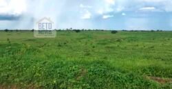 Oportunidade Agronegócio: Fazenda à Venda 11.695 has Região Geoeconômica de Brasília/GO