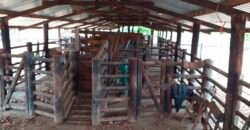 Oportunidade Agronegócio: Fazenda à Venda 11.695 has Região Geoeconômica de Brasília/GO