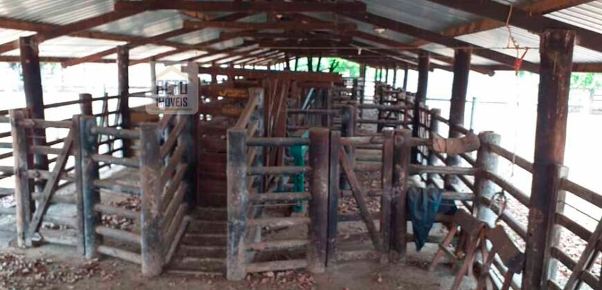 Oportunidade Agronegócio: Fazenda à Venda 11.695 has Região Geoeconômica de Brasília/GO