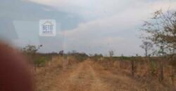 Oportunidade Agronegócio: Fazenda à Venda 11.695 has Região Geoeconômica de Brasília/GO