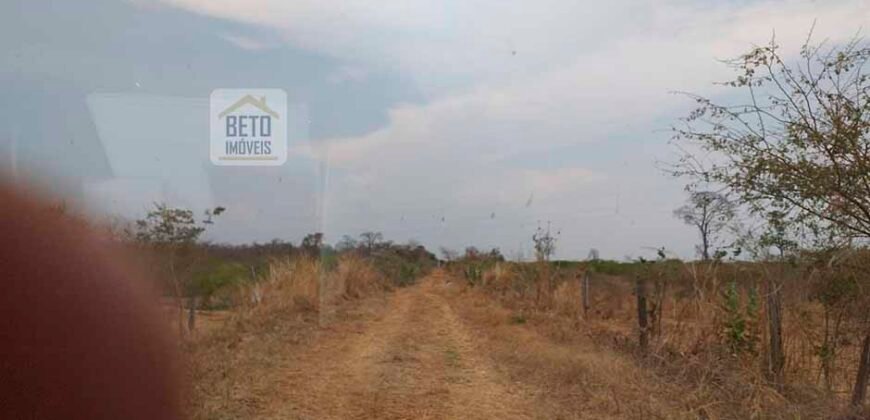 Oportunidade Agronegócio: Fazenda à Venda 11.695 has Região Geoeconômica de Brasília/GO