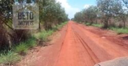 Oportunidade Agronegócio: Fazenda à Venda 11.695 has Região Geoeconômica de Brasília/GO