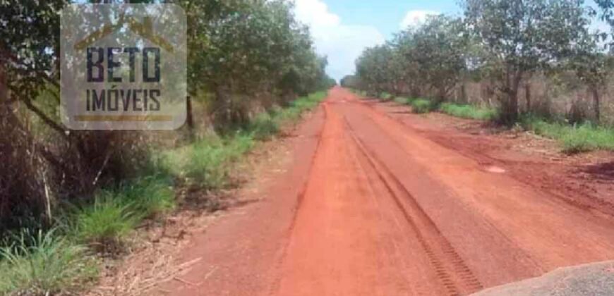 Oportunidade Agronegócio: Fazenda à Venda 11.695 has Região Geoeconômica de Brasília/GO