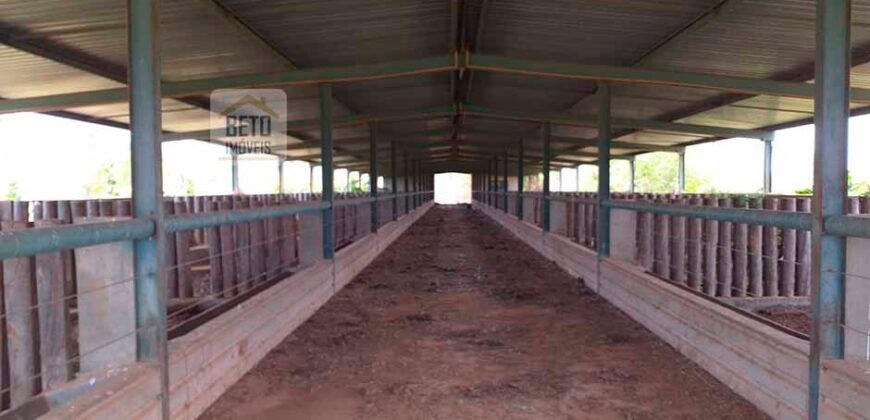 Oportunidade Agronegócio: Fazenda à Venda 11.695 has Região Geoeconômica de Brasília/GO