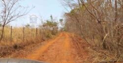 Oportunidade Agronegócio: Fazenda à Venda 11.695 has Região Geoeconômica de Brasília/GO