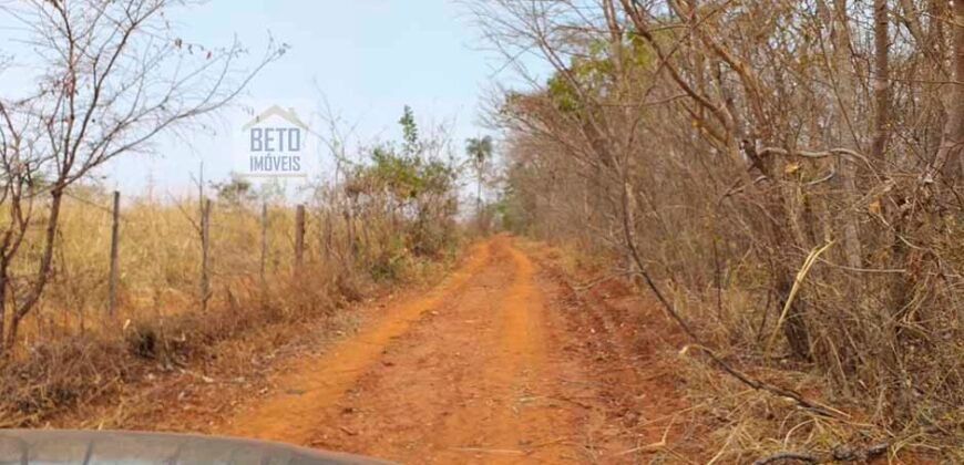 Oportunidade Agronegócio: Fazenda à Venda 11.695 has Região Geoeconômica de Brasília/GO