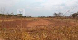 Oportunidade Agronegócio: Fazenda à Venda 11.695 has Região Geoeconômica de Brasília/GO