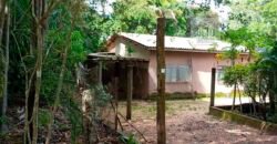 Agronegócio em Goiás: Fazenda à Venda 74 Alqueires Aptidão Diferentes Cultivos | Faina/ GO