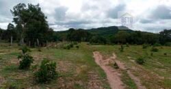 Agronegócio em Goiás: Fazenda à Venda 74 Alqueires Aptidão Diferentes Cultivos | Faina/ GO