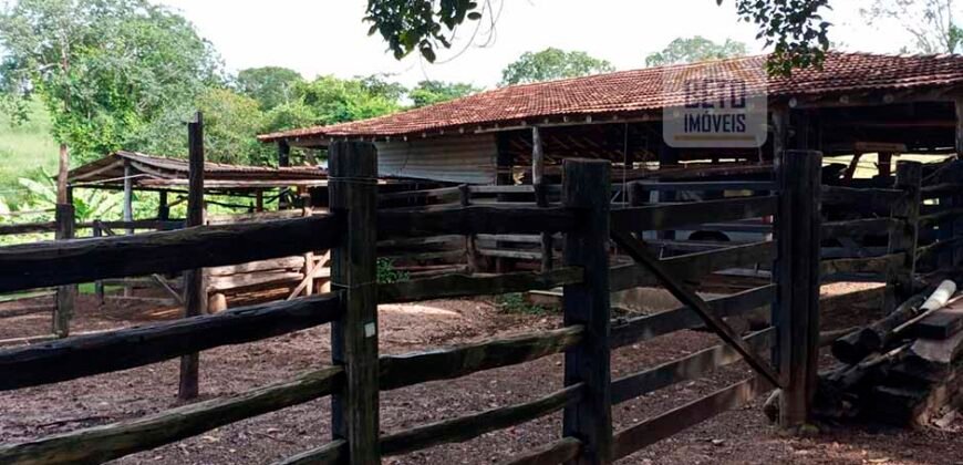 Agronegócio em Goiás: Fazenda à Venda 74 Alqueires Aptidão Diferentes Cultivos | Faina/ GO