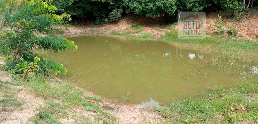 Agronegócio em Goiás: Fazenda à Venda 74 Alqueires Aptidão Diferentes Cultivos | Faina/ GO