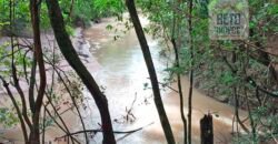 Agronegócio em Goiás: Fazenda à Venda 74 Alqueires Aptidão Diferentes Cultivos | Faina/ GO