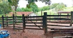 Agronegócio em Goiás: Fazenda à Venda 74 Alqueires Aptidão Diferentes Cultivos | Faina/ GO