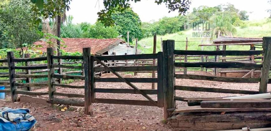 Agronegócio em Goiás: Fazenda à Venda 74 Alqueires Aptidão Diferentes Cultivos | Faina/ GO