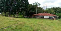 Agronegócio em Goiás: Fazenda à Venda 74 Alqueires Aptidão Diferentes Cultivos | Faina/ GO