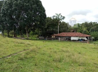 Agronegócio em Goiás: Fazenda à Venda 74 Alqueires Aptidão Diferentes Cultivos | Faina/ GO