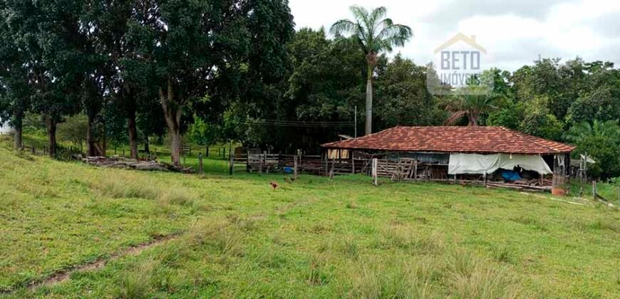 Agronegócio em Goiás: Fazenda à Venda 74 Alqueires Aptidão Diferentes Cultivos | Faina/ GO