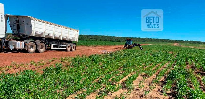 Venda de Fazenda 2.231 hectares de Soja Ótima Estrutura de Armazenamento | Primavera do Leste/ MT Venda de Fazenda 2.231 hectares de Soja Ótima Estrutura de Armazenamento | Primavera do Leste/ MT