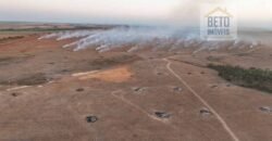 Venda de Fazenda 2.231 hectares de Soja Ótima Estrutura de Armazenamento | Primavera do Leste/ MT Venda de Fazenda 2.231 hectares de Soja Ótima Estrutura de Armazenamento | Primavera do Leste/ MT