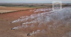 Venda de Fazenda 2.231 hectares de Soja Ótima Estrutura de Armazenamento | Primavera do Leste/ MT Venda de Fazenda 2.231 hectares de Soja Ótima Estrutura de Armazenamento | Primavera do Leste/ MT