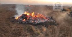 Venda de Fazenda 2.231 hectares de Soja Ótima Estrutura de Armazenamento | Primavera do Leste/ MT Venda de Fazenda 2.231 hectares de Soja Ótima Estrutura de Armazenamento | Primavera do Leste/ MT