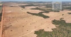 Venda de Fazenda 2.231 hectares de Soja Ótima Estrutura de Armazenamento | Primavera do Leste/ MT Venda de Fazenda 2.231 hectares de Soja Ótima Estrutura de Armazenamento | Primavera do Leste/ MT