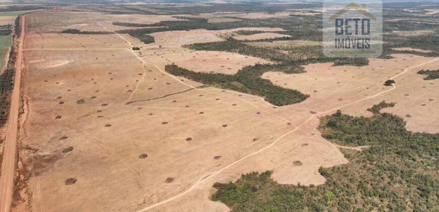 Venda de Fazenda 2.231 hectares de Soja Ótima Estrutura de Armazenamento | Primavera do Leste/ MT Venda de Fazenda 2.231 hectares de Soja Ótima Estrutura de Armazenamento | Primavera do Leste/ MT