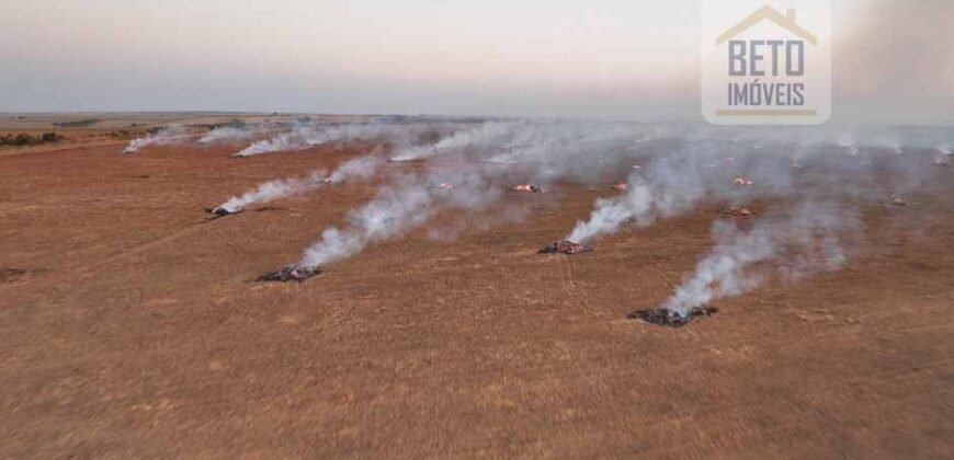 Venda de Fazenda 2.231 hectares de Soja Ótima Estrutura de Armazenamento | Primavera do Leste/ MT Venda de Fazenda 2.231 hectares de Soja Ótima Estrutura de Armazenamento | Primavera do Leste/ MT