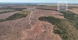 Venda de Fazenda 2.231 hectares de Soja Ótima Estrutura de Armazenamento | Primavera do Leste/ MT Venda de Fazenda 2.231 hectares de Soja Ótima Estrutura de Armazenamento | Primavera do Leste/ MT