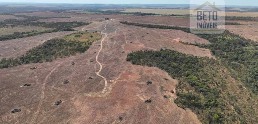 Venda de Fazenda 2.231 hectares de Soja Ótima Estrutura de Armazenamento | Primavera do Leste/ MT Venda de Fazenda 2.231 hectares de Soja Ótima Estrutura de Armazenamento | Primavera do Leste/ MT
