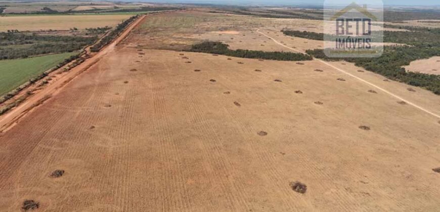 Venda de Fazenda 2.231 hectares de Soja Ótima Estrutura de Armazenamento | Primavera do Leste/ MT Venda de Fazenda 2.231 hectares de Soja Ótima Estrutura de Armazenamento | Primavera do Leste/ MT