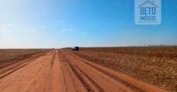 Fazenda à Venda 1.085 hectares Lavoura de Soja Alta Produtividade | Gaúcha do Norte/ MT
