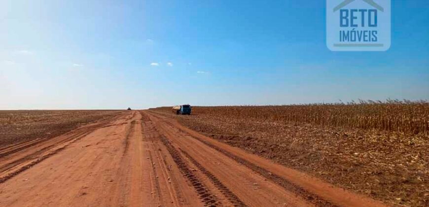 Fazenda à Venda 1.085 hectares Lavoura de Soja Alta Produtividade | Gaúcha do Norte/ MT