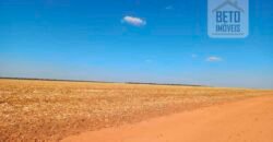 Fazenda à Venda 1.085 hectares Lavoura de Soja Alta Produtividade | Gaúcha do Norte/ MT