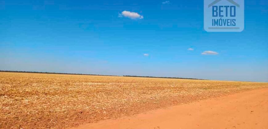 Fazenda à Venda 1.085 hectares Lavoura de Soja Alta Produtividade | Gaúcha do Norte/ MT