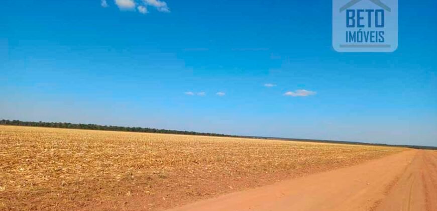 Fazenda à Venda 1.085 hectares Lavoura de Soja Alta Produtividade | Gaúcha do Norte/ MT