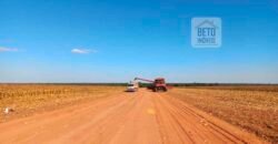 Fazenda à Venda 1.085 hectares Lavoura de Soja Alta Produtividade | Gaúcha do Norte/ MT