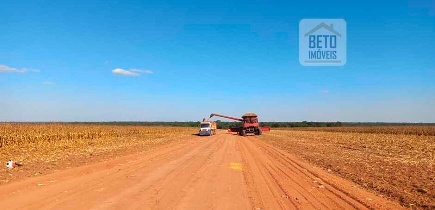 Fazenda à Venda 1.085 hectares Lavoura de Soja Alta Produtividade | Gaúcha do Norte/ MT