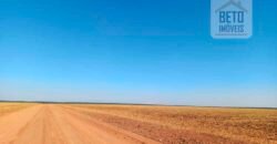 Fazenda à Venda 1.085 hectares Lavoura de Soja Alta Produtividade | Gaúcha do Norte/ MT