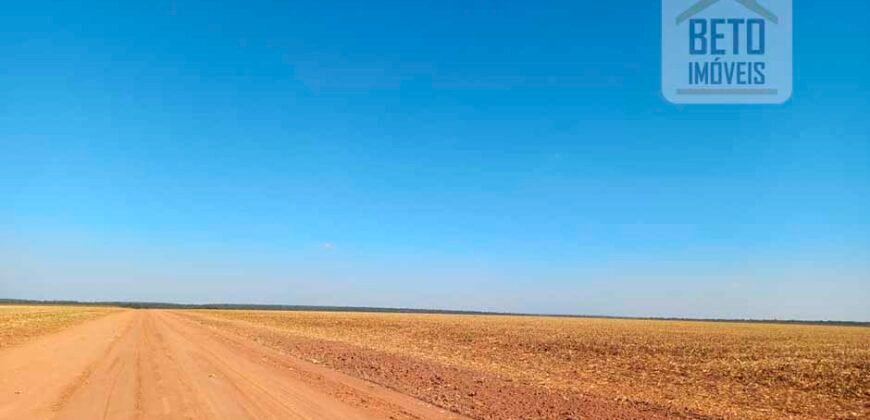 Fazenda à Venda 1.085 hectares Lavoura de Soja Alta Produtividade | Gaúcha do Norte/ MT