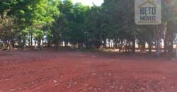 Fazenda à Venda 1.085 hectares Lavoura de Soja Alta Produtividade | Gaúcha do Norte/ MT