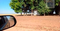 Fazenda à Venda 1.085 hectares Lavoura de Soja Alta Produtividade | Gaúcha do Norte/ MT