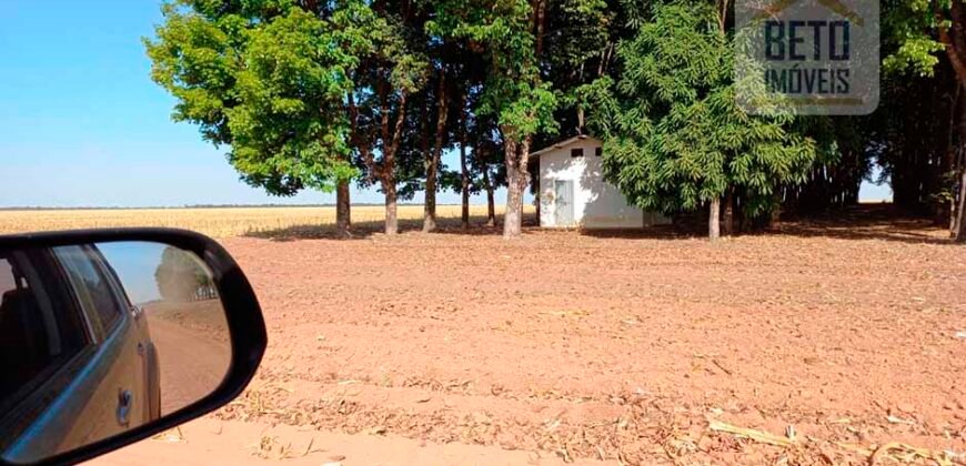 Fazenda à Venda 1.085 hectares Lavoura de Soja Alta Produtividade | Gaúcha do Norte/ MT