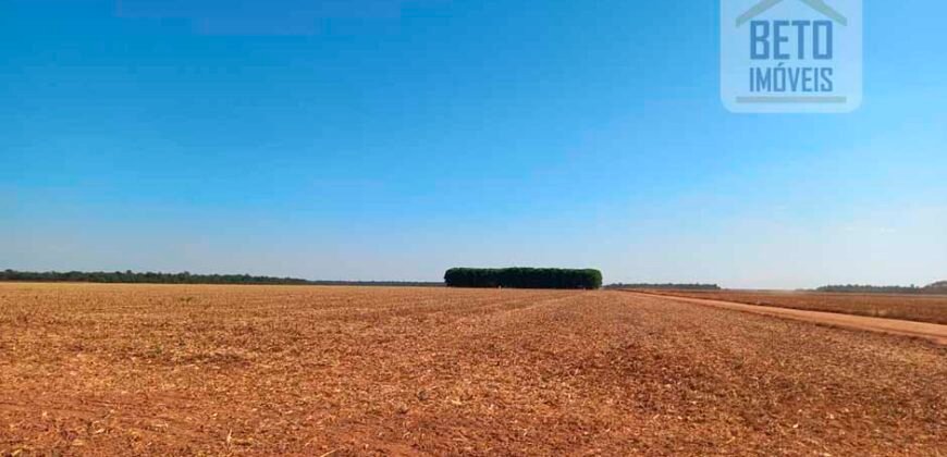 Fazenda à Venda 1.085 hectares Lavoura de Soja Alta Produtividade | Gaúcha do Norte/ MT