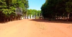 Fazenda à Venda 1.085 hectares Lavoura de Soja Alta Produtividade | Gaúcha do Norte/ MT