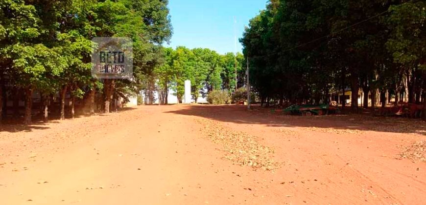 Fazenda à Venda 1.085 hectares Lavoura de Soja Alta Produtividade | Gaúcha do Norte/ MT