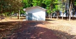 Fazenda à Venda 1.085 hectares Lavoura de Soja Alta Produtividade | Gaúcha do Norte/ MT