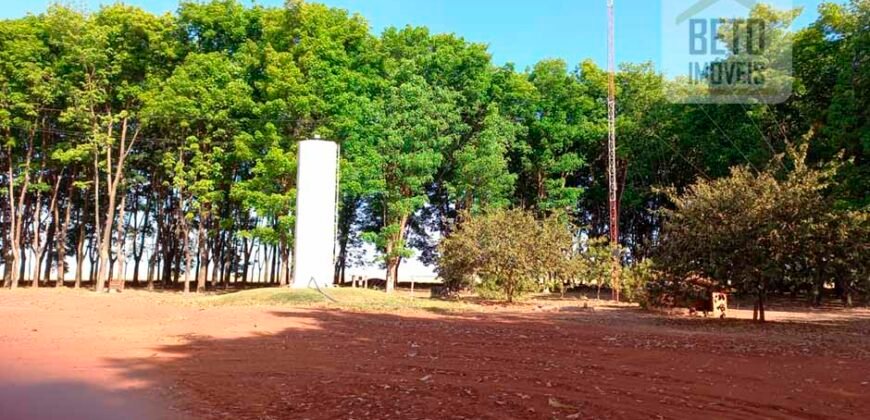 Fazenda à Venda 1.085 hectares Lavoura de Soja Alta Produtividade | Gaúcha do Norte/ MT