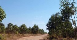 Fazenda à Venda 15.847 has Aptidão para Plantio de Eucalipto e Reflorestamento | Riacho dos Machados/ MG