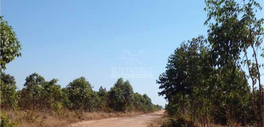 Fazenda à Venda 15.847 has Aptidão para Plantio de Eucalipto e Reflorestamento | Riacho dos Machados/ MG